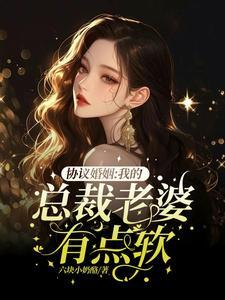 和总裁假婚后