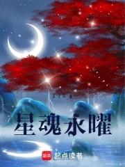 星魂什么水平