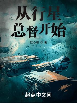 从行星总督开始无防盗