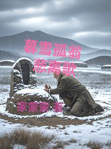 播放一首暮雪