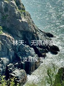 主角是林天