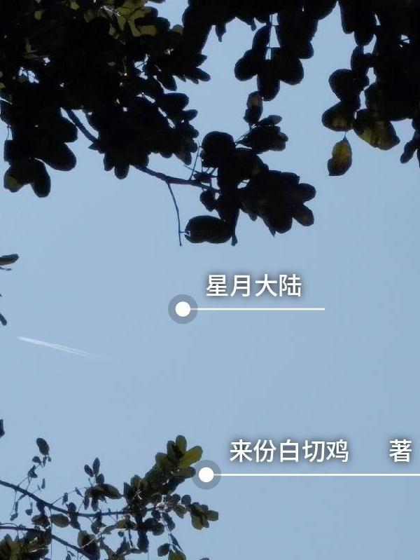 星月大陆是什么游戏