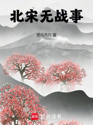 北宋战绩