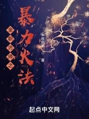 全职法师初阶火系魔法