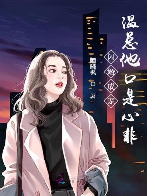 闪婚老公宠妻无度温心