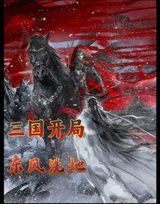 三国开局当少帝