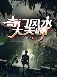 奇门风水大天师TXT精校版