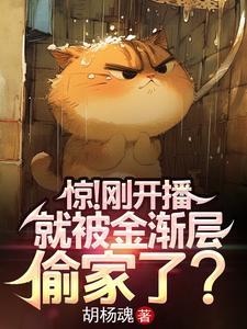 金渐层的猫