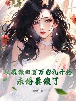 未婚妻傻了 暗雪山