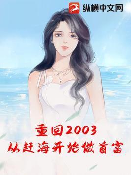 重回2003的叫什么