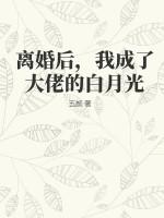 离婚后我成了大佬的心尖宠[穿书