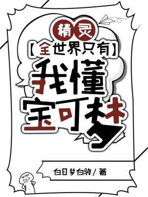 精灵全世界只有我懂宝可梦免费阅读无弹窗