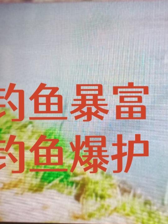 钓鱼爆护表情包